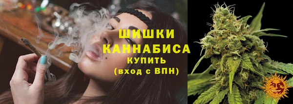 a pvp Кодинск