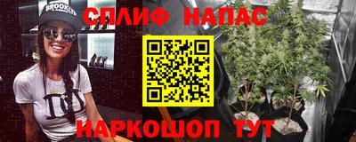 шишки Краснознаменск