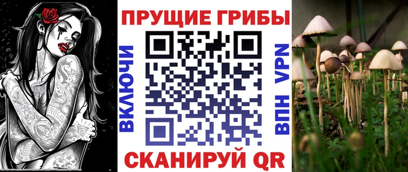 Псилоцибиновые грибы прущие грибы даркнет какой сайт Сатка