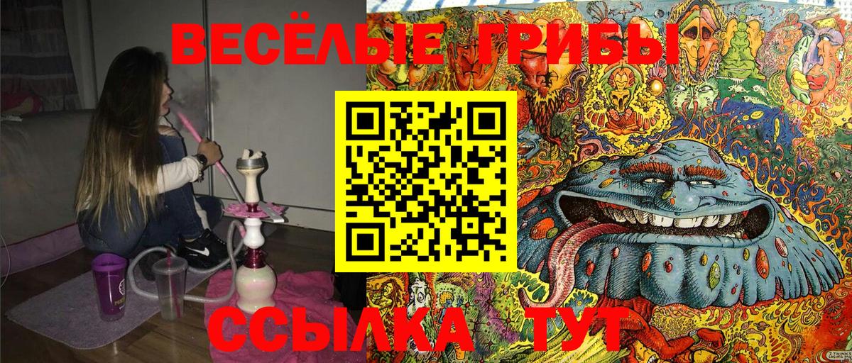 Галлюциногенные грибы Cubensis Сатка