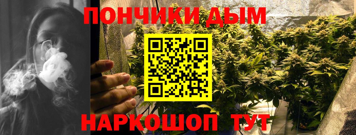 Конопля семена Сатка
